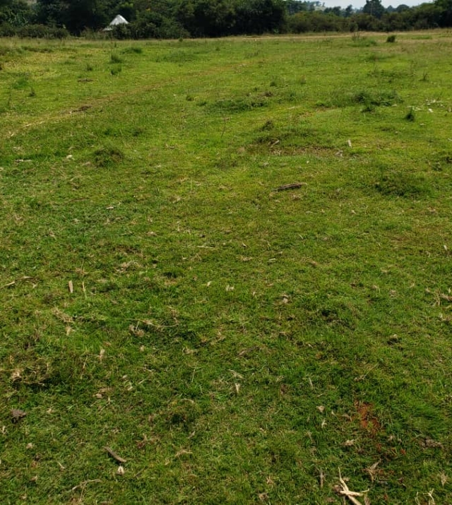 WhatsApp Image 2022-07-15 at 8.52.04 PM.jpeg